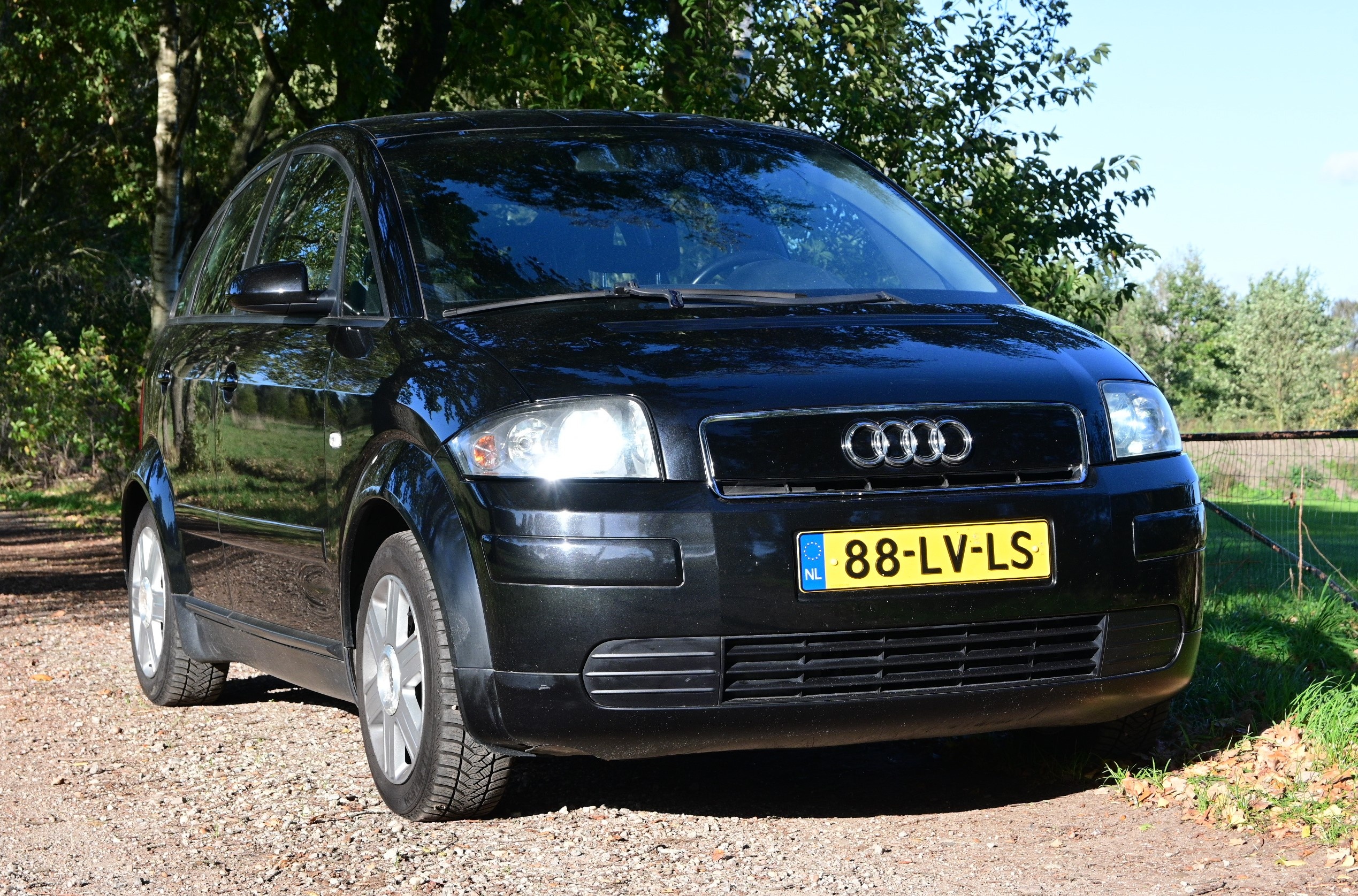 DSC_1125.jpg
