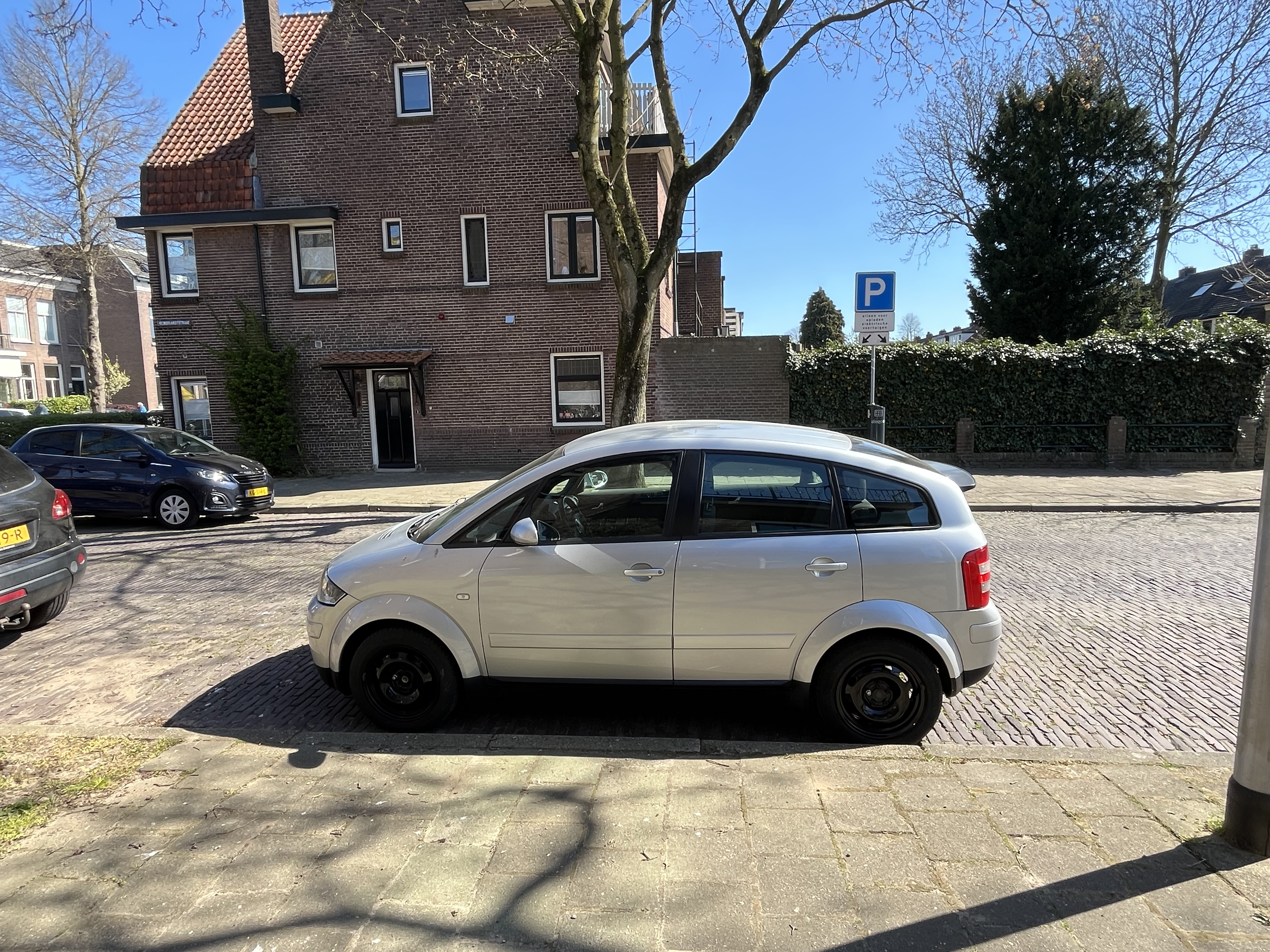 IMG_0902.jpeg
