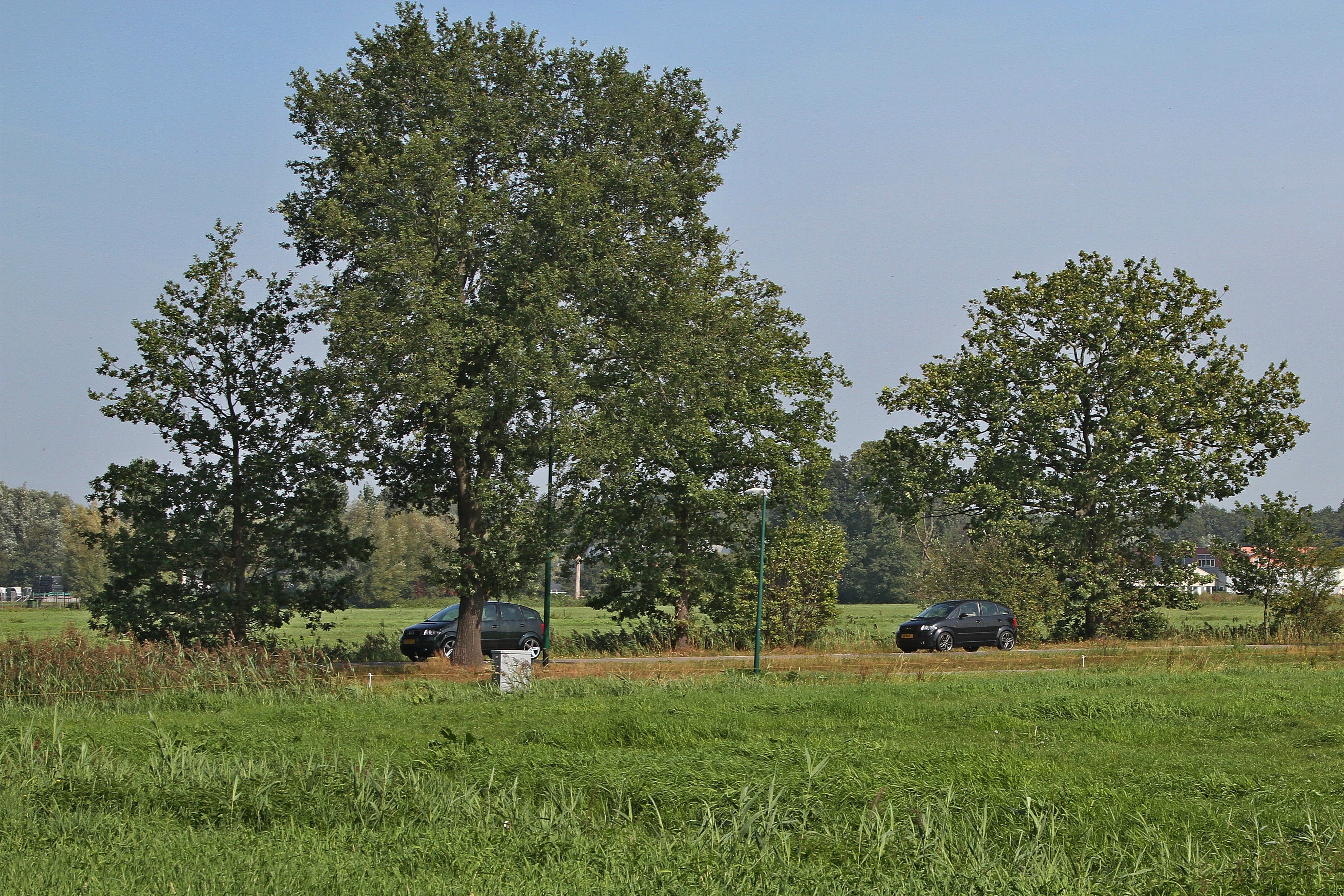 Tourrit_Austerlitz_10.jpg